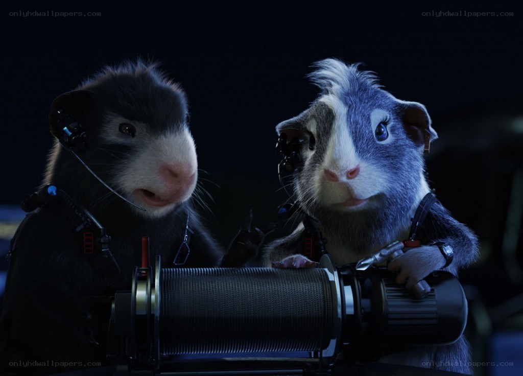 guinea pigs in space suits