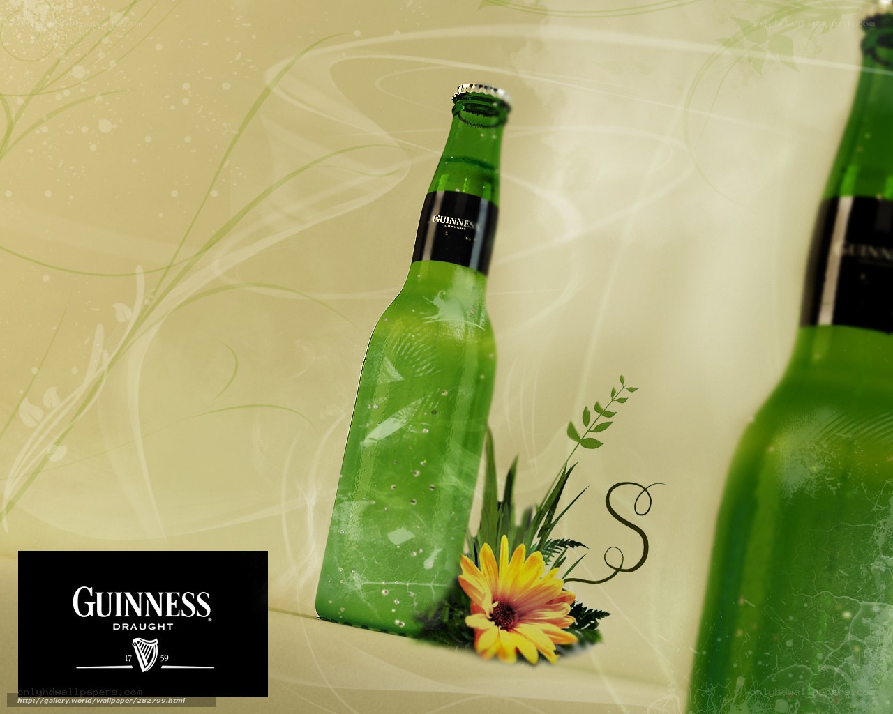 Guinness Draught bottle with flower
