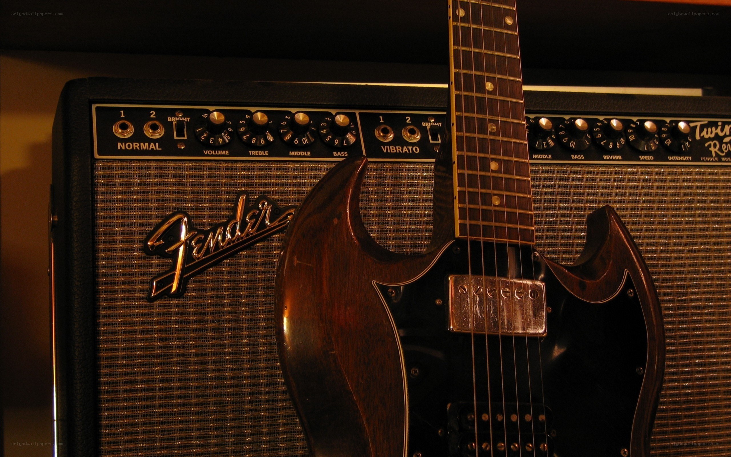 Guitar and amplifier setup