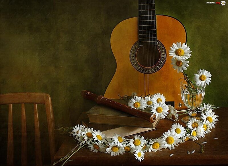 Guitar and Daisies — Brown
