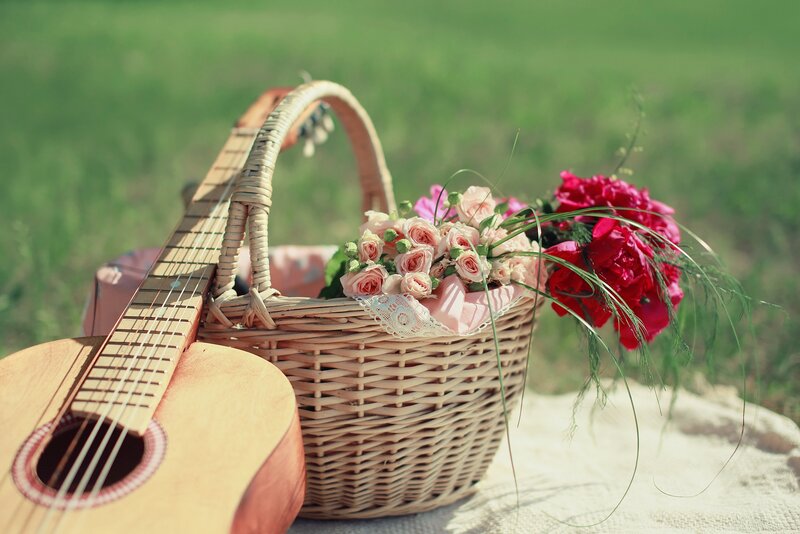 Guitar and Flower Basket — Green