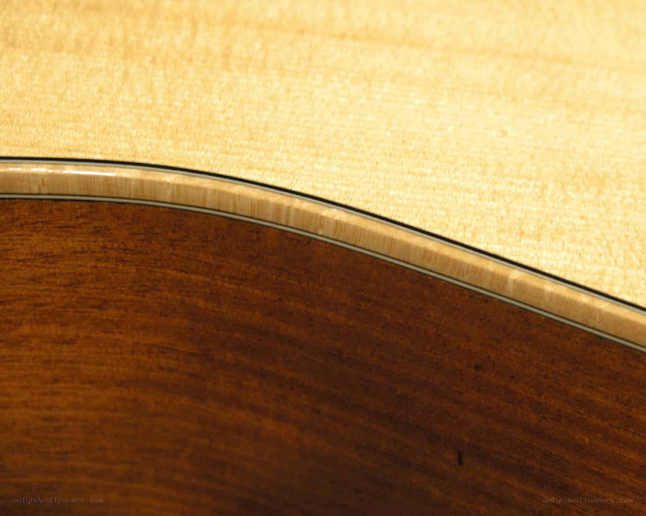 guitar body edge detail