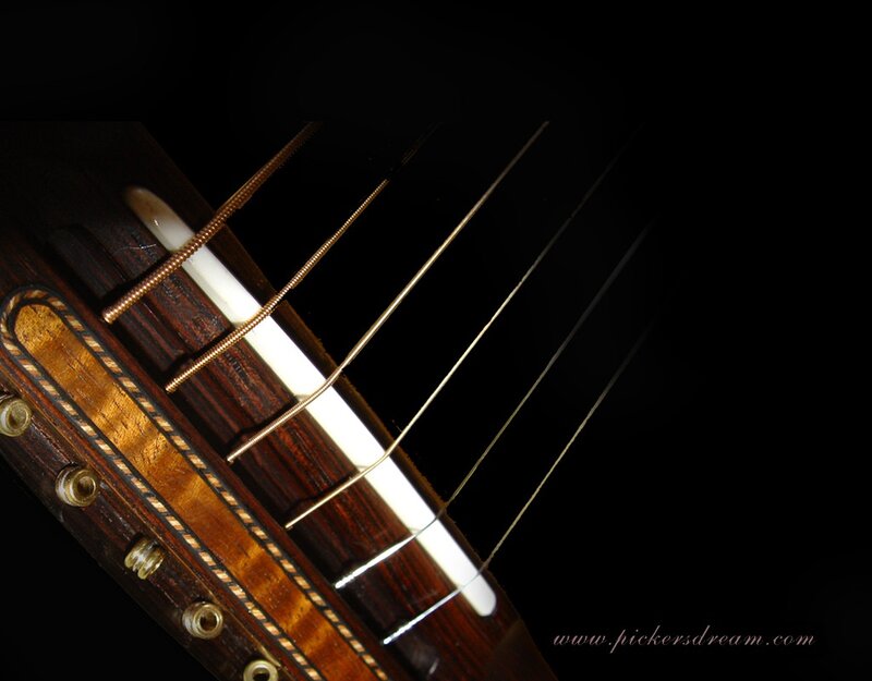Guitar Bridge and Strings