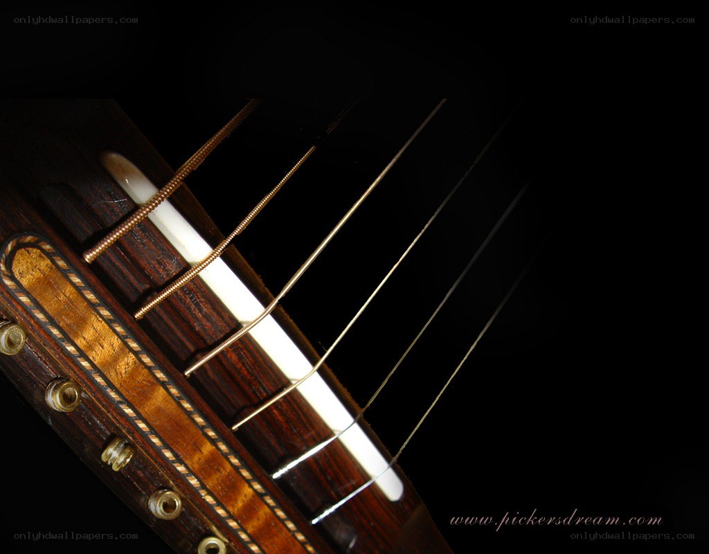 guitar bridge close-up