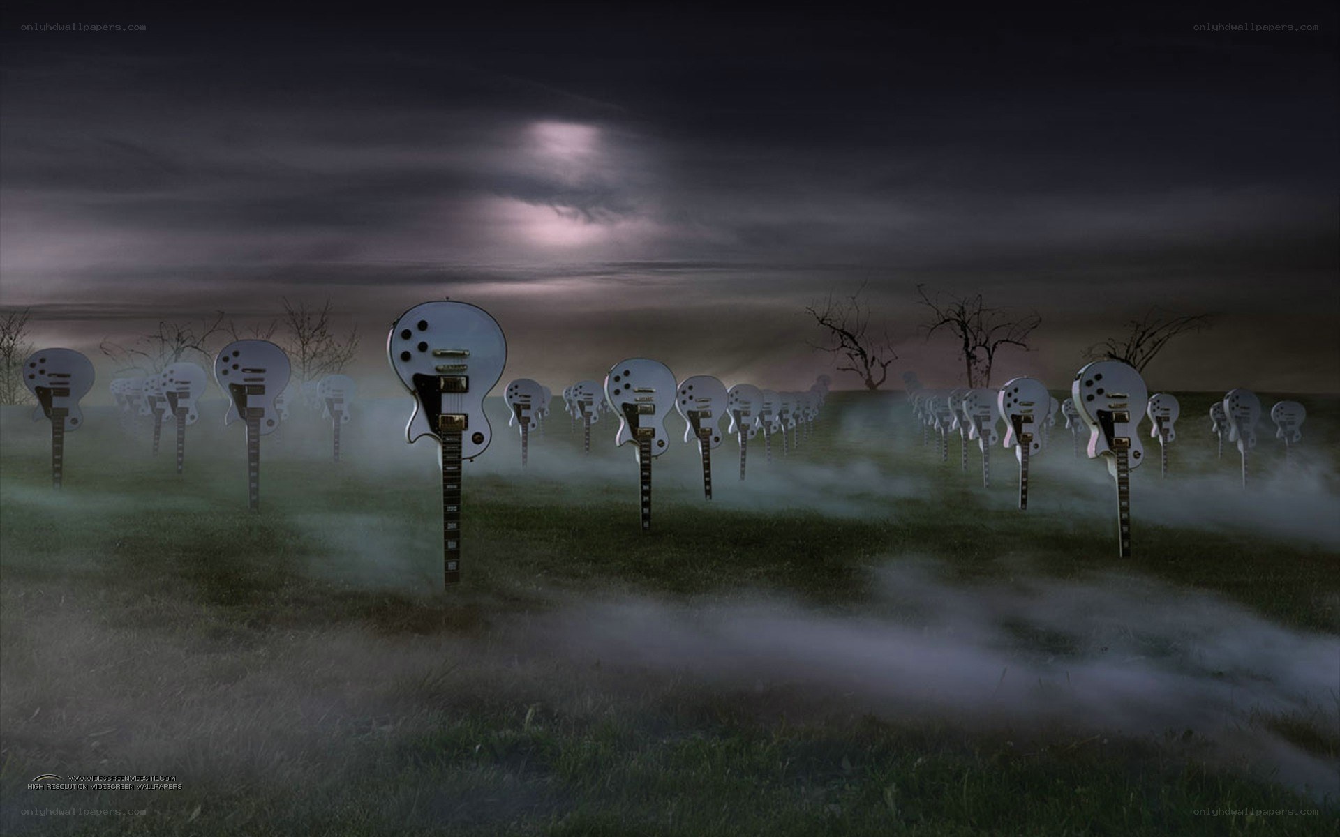 Guitar field in misty night