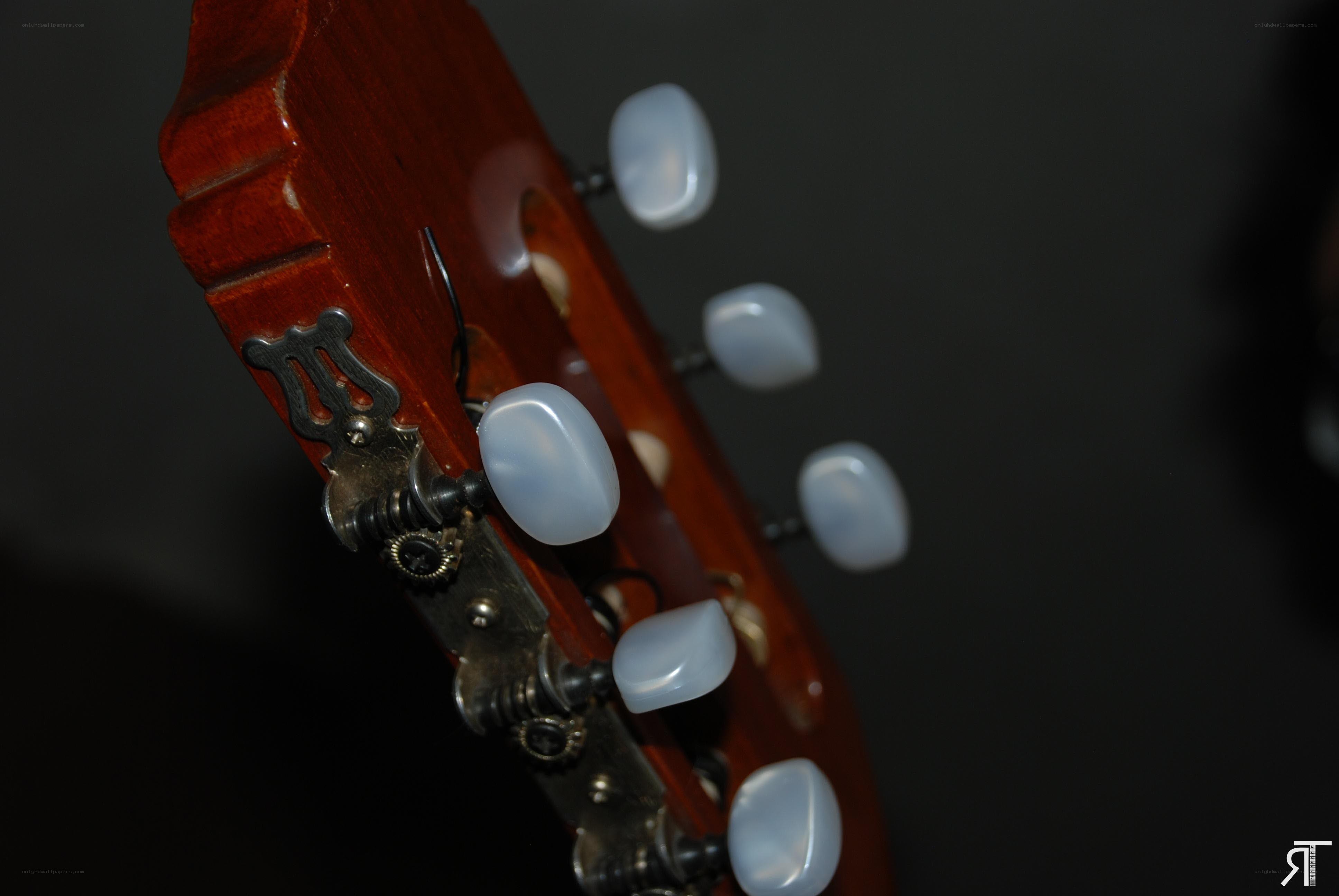 guitar headstock close-up
