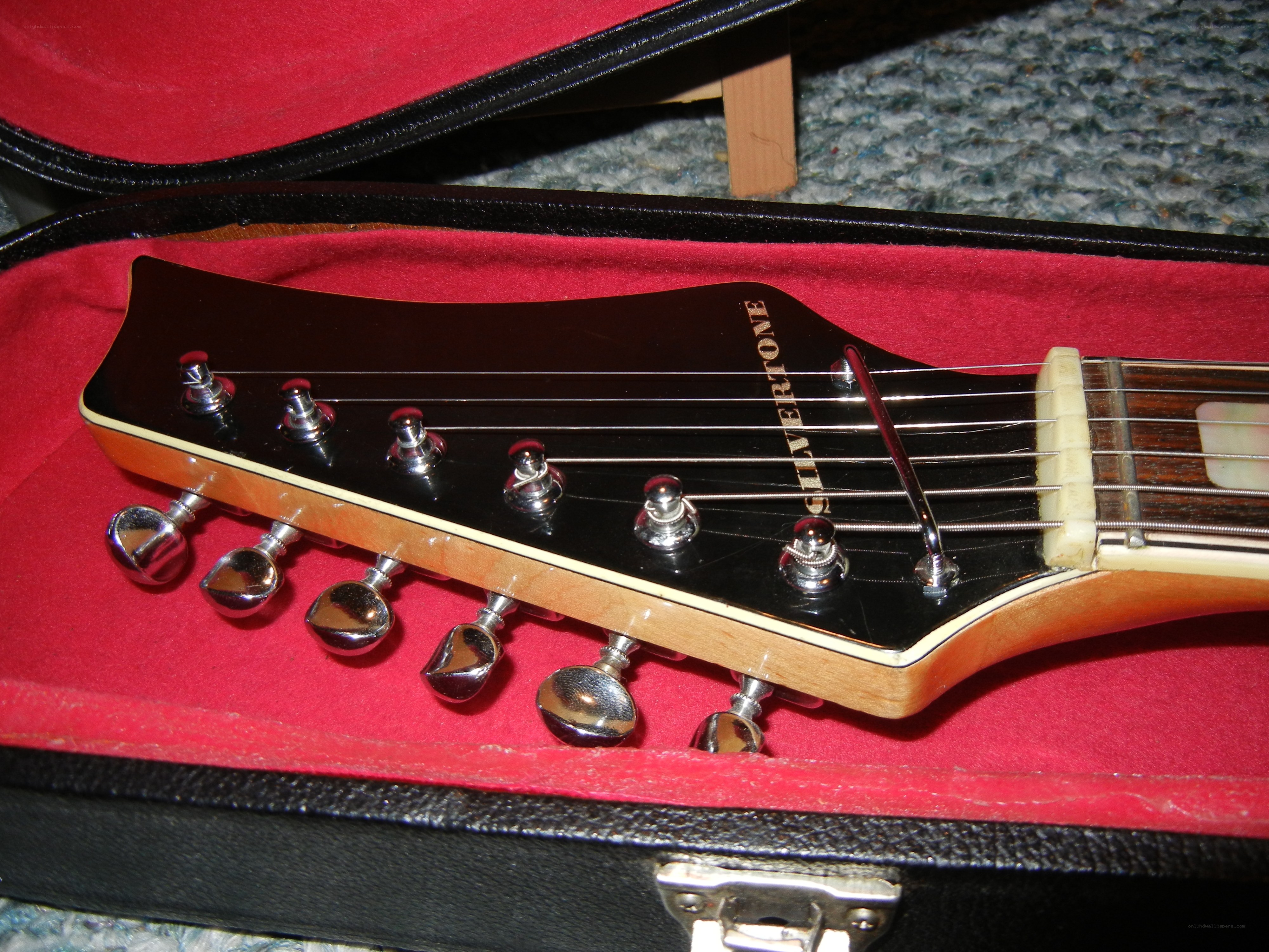 guitar headstock in case