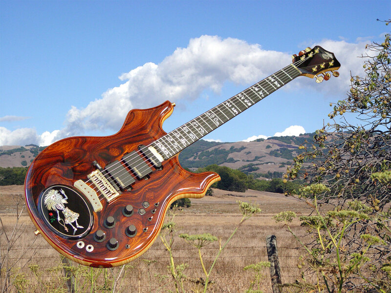 Guitar in a field