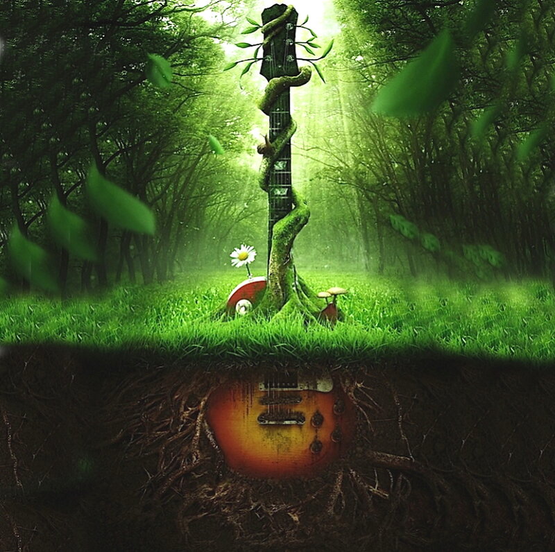 Guitar in Forest