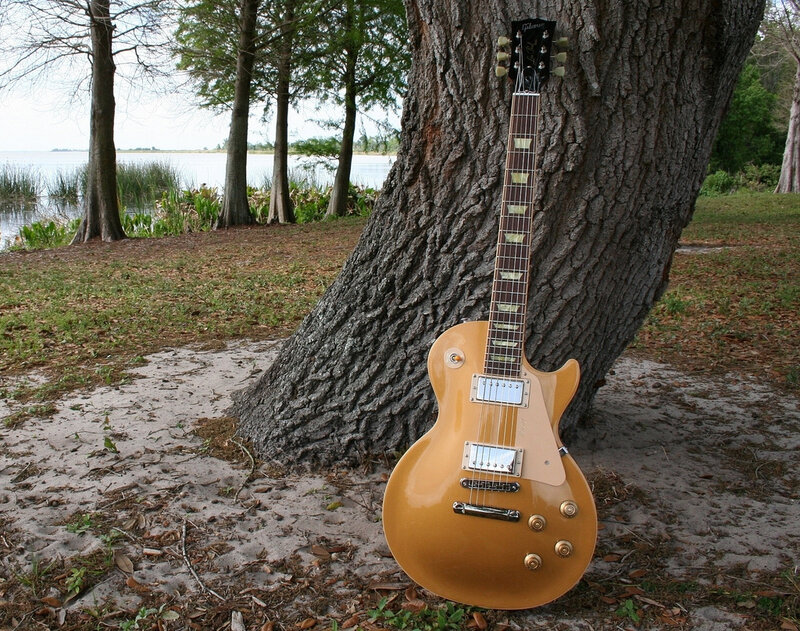 Guitar leaning against a tree