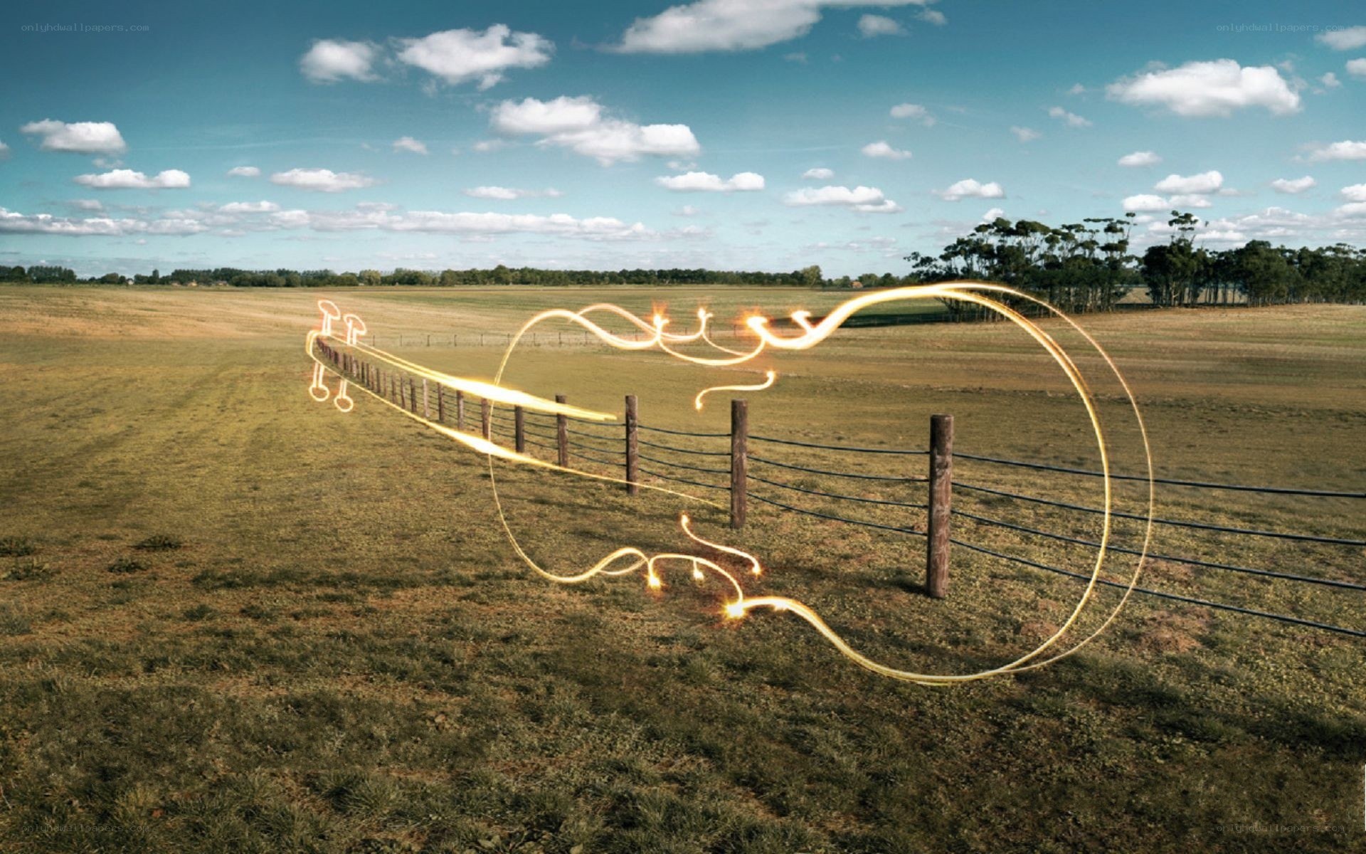 Guitar light trail in field