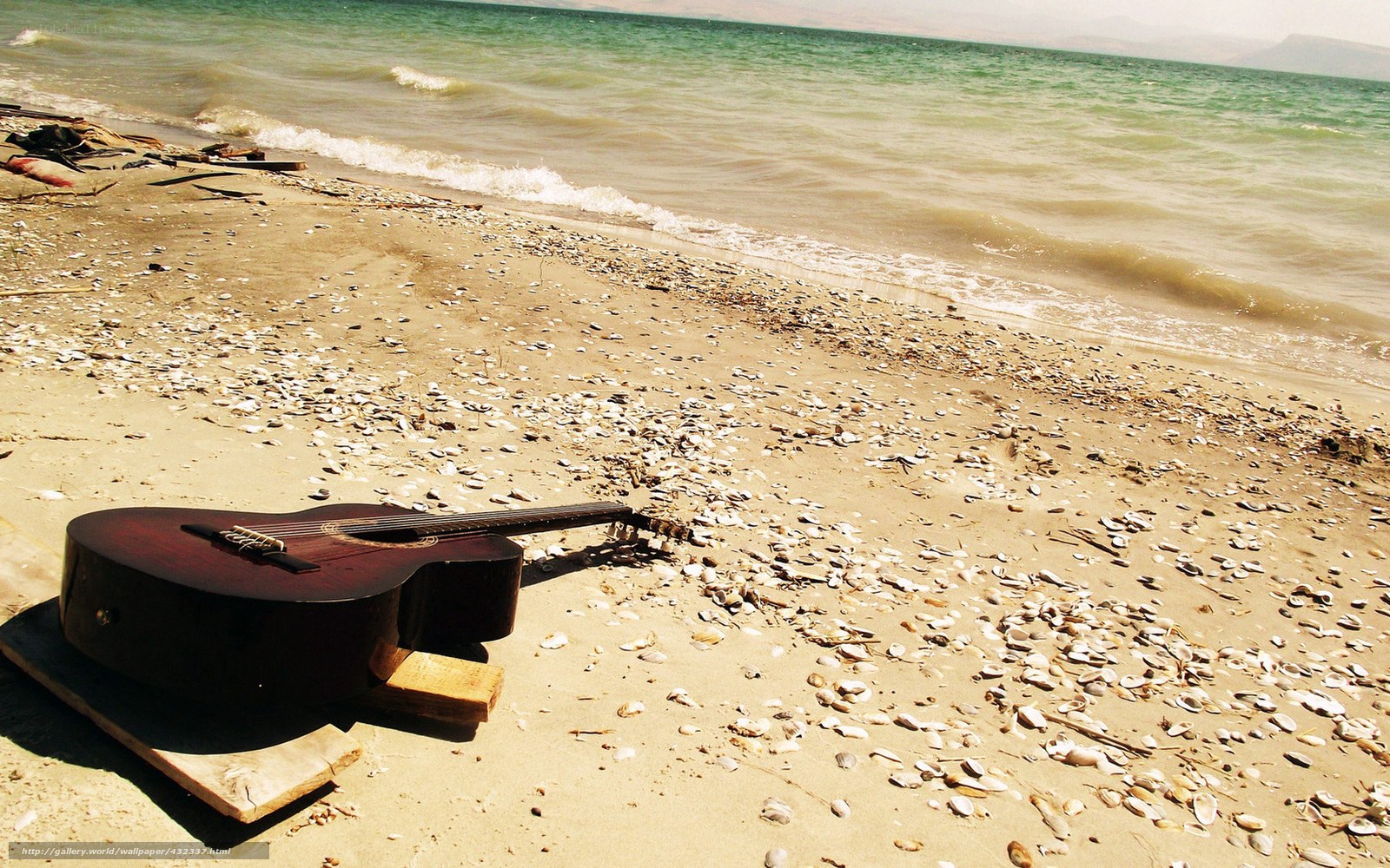 Guitar on a seashell beach