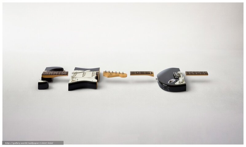 Guitar parts arranged in a line