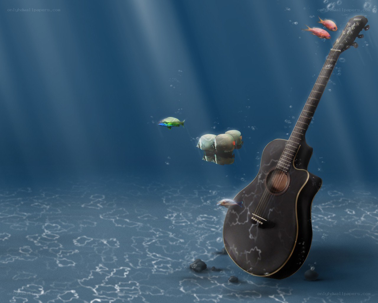 Guitar underwater with fish