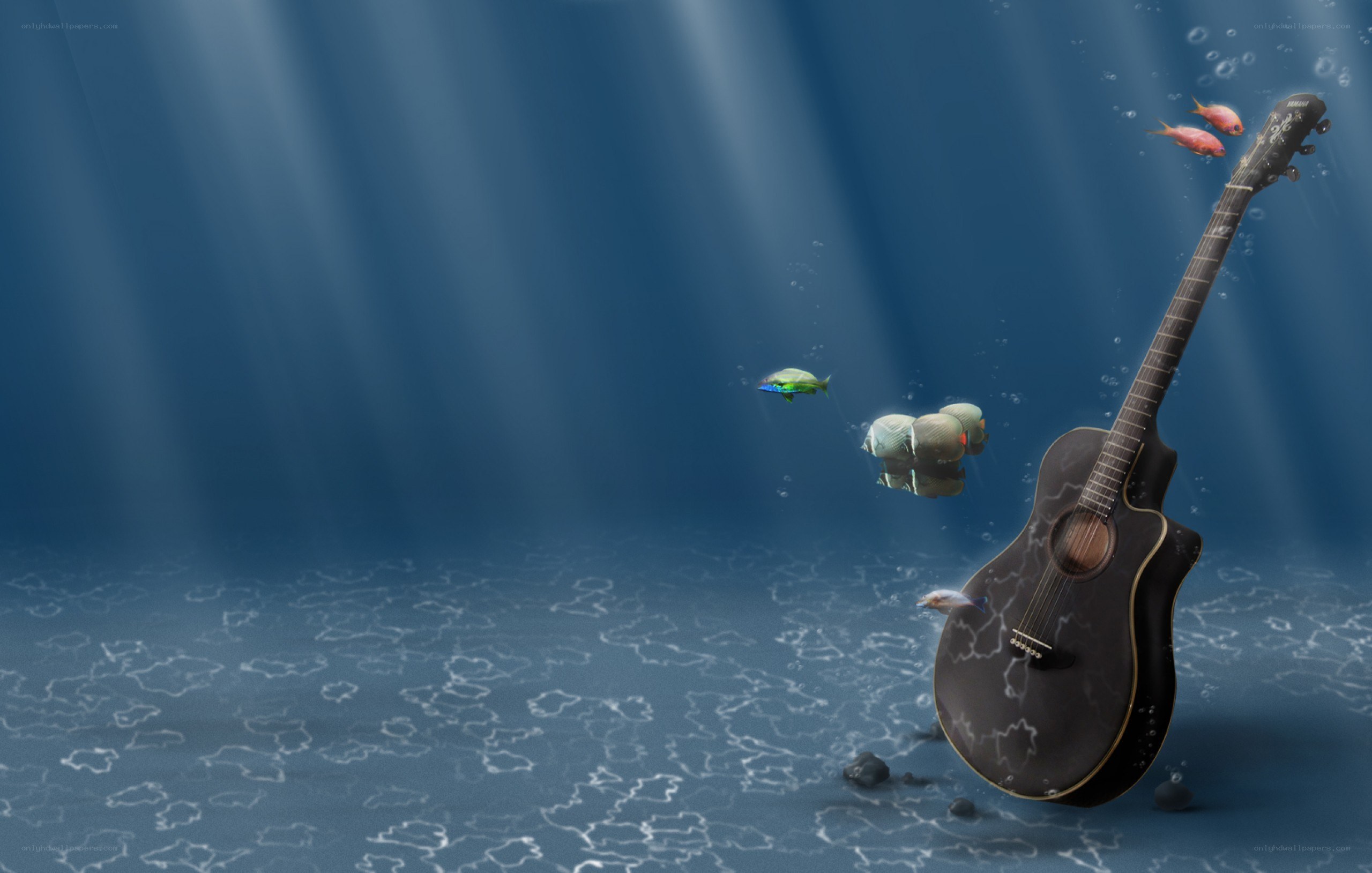 guitar underwater with fish