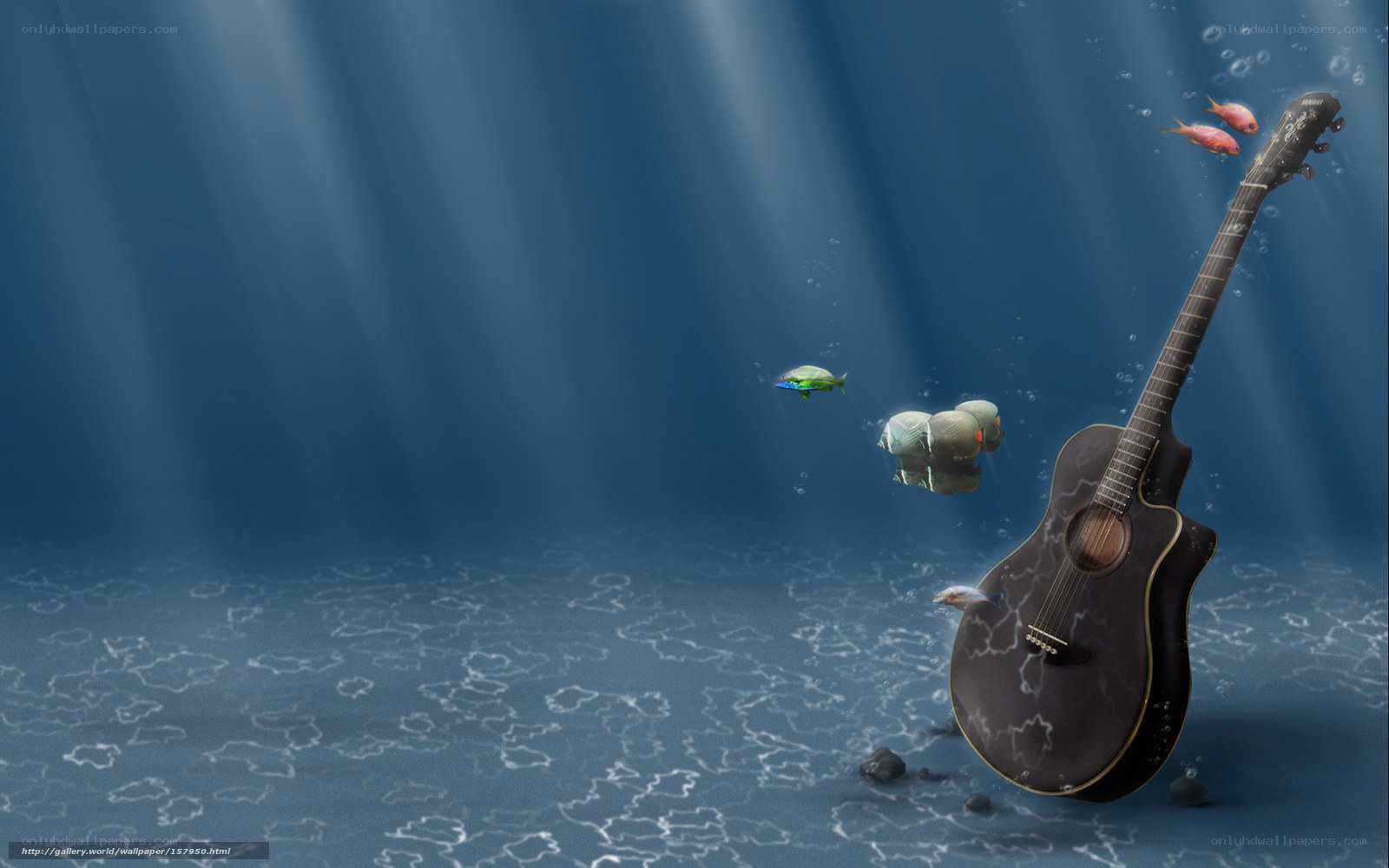 Guitar underwater with fish