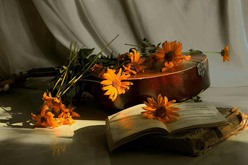 Guitar with flowers and book