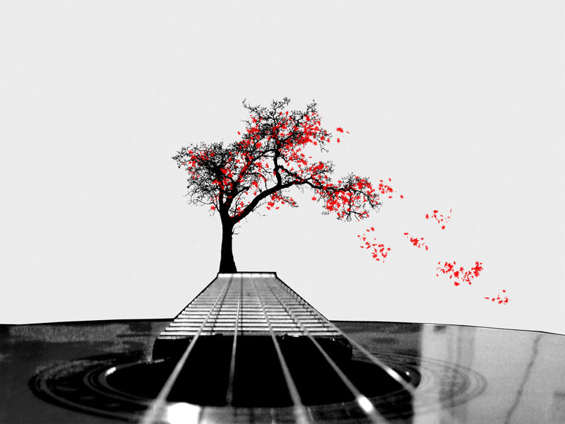 guitar with red leaf tree