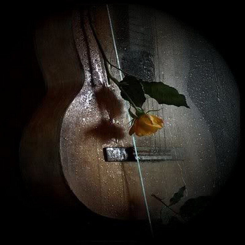 Guitar with rose in rain