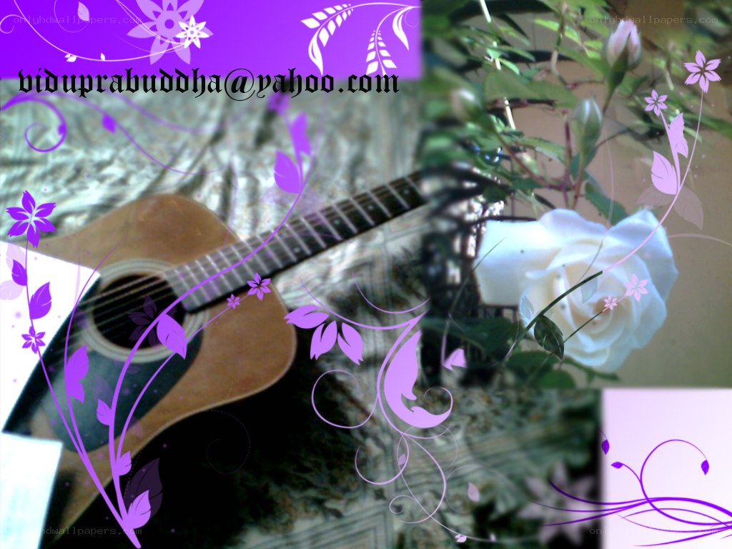 guitar with white rose