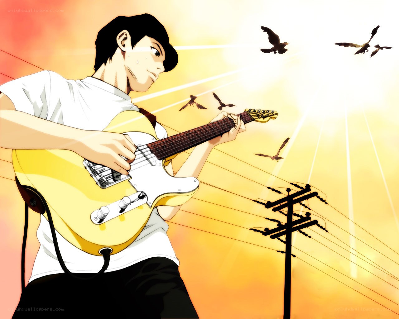 guitarist at sunset