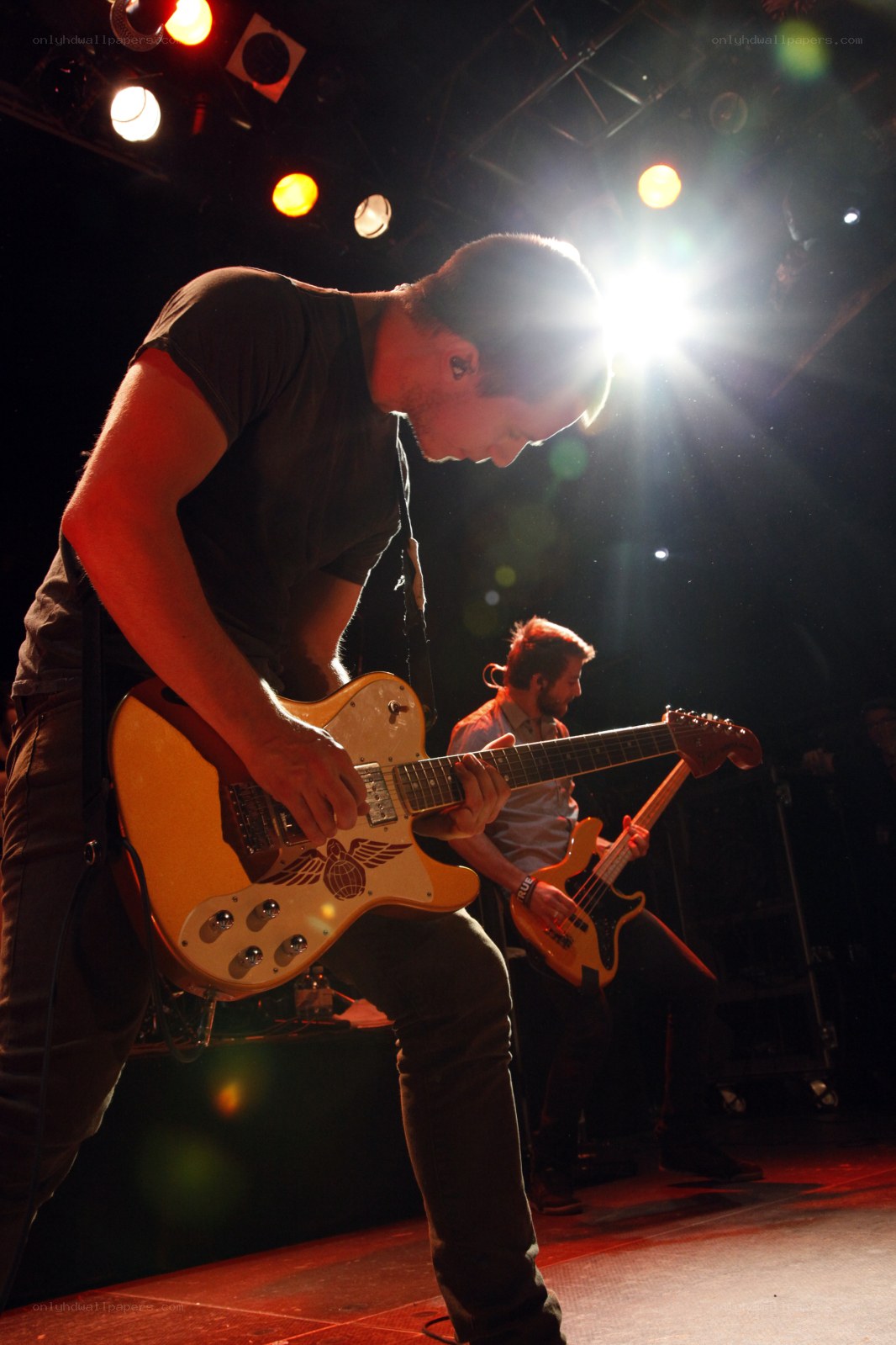 Guitarist performing on stage