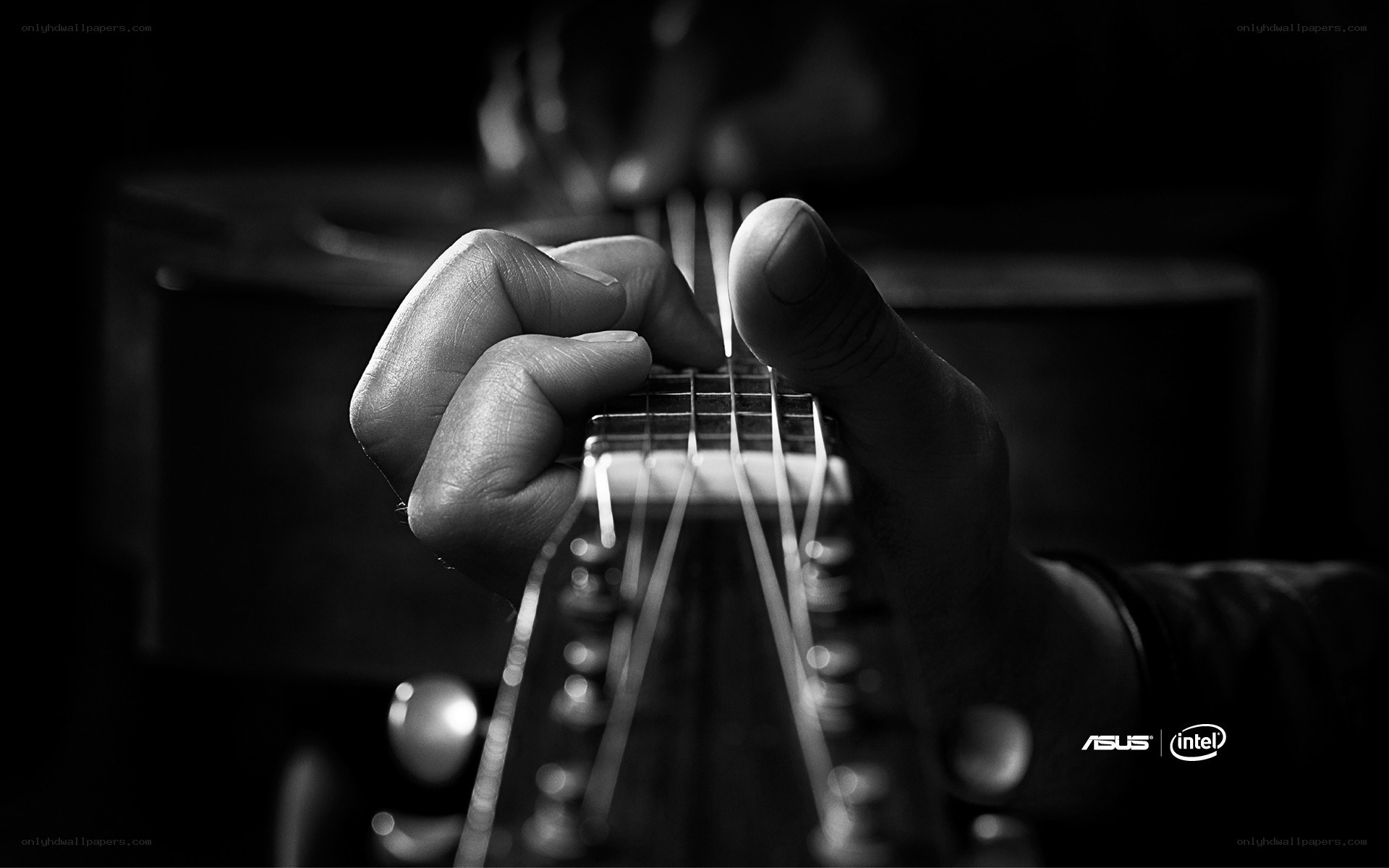 guitarist's hands on strings