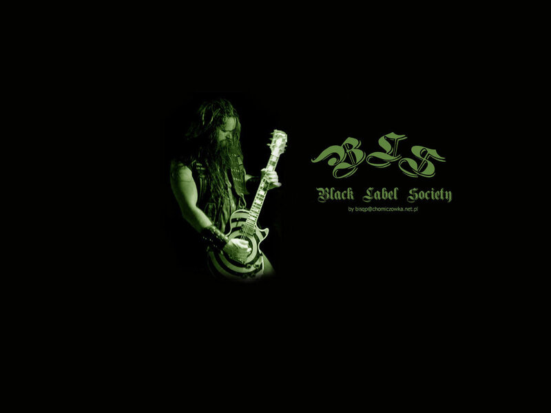 guitarist with black label society