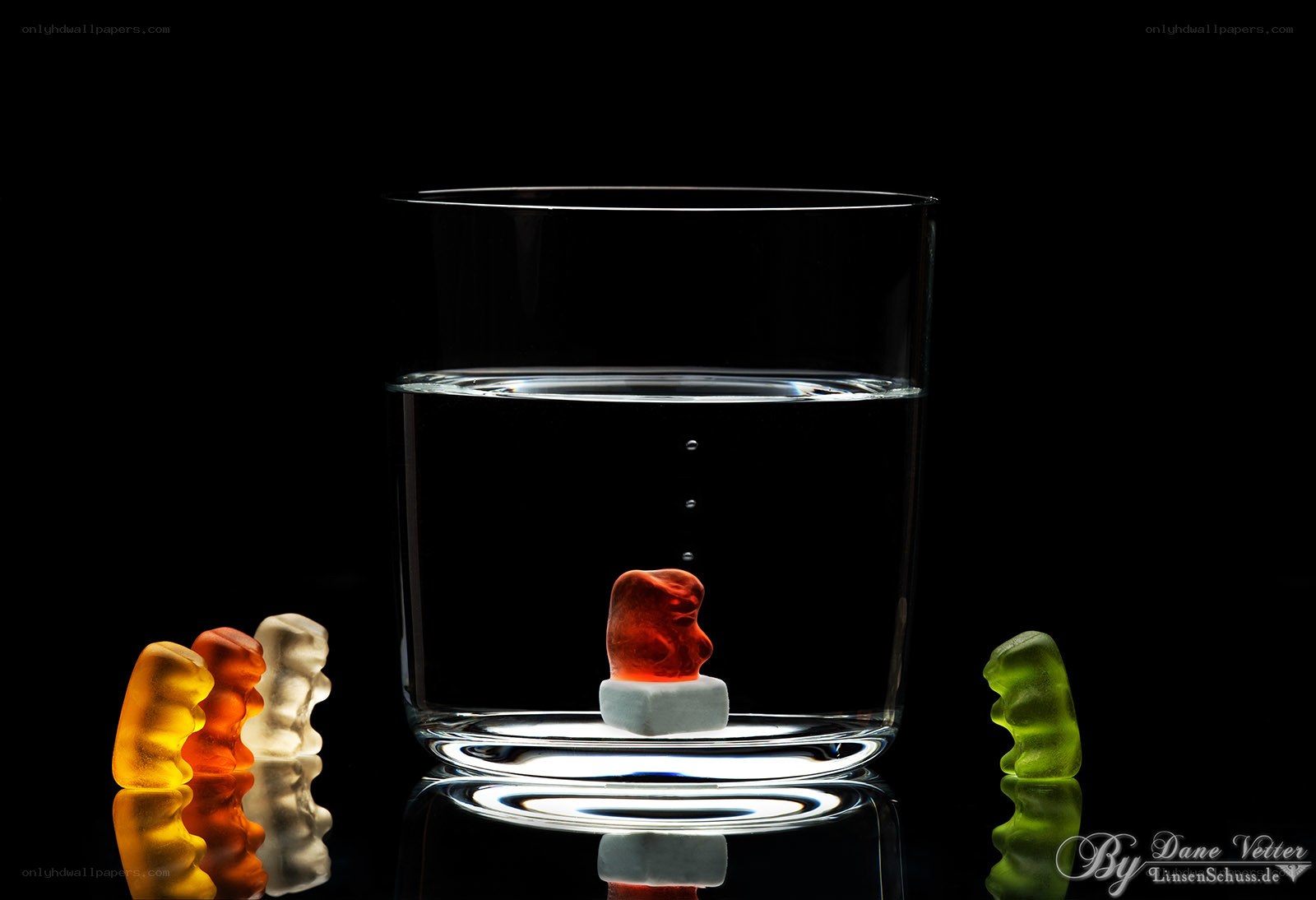 gummy bears in water