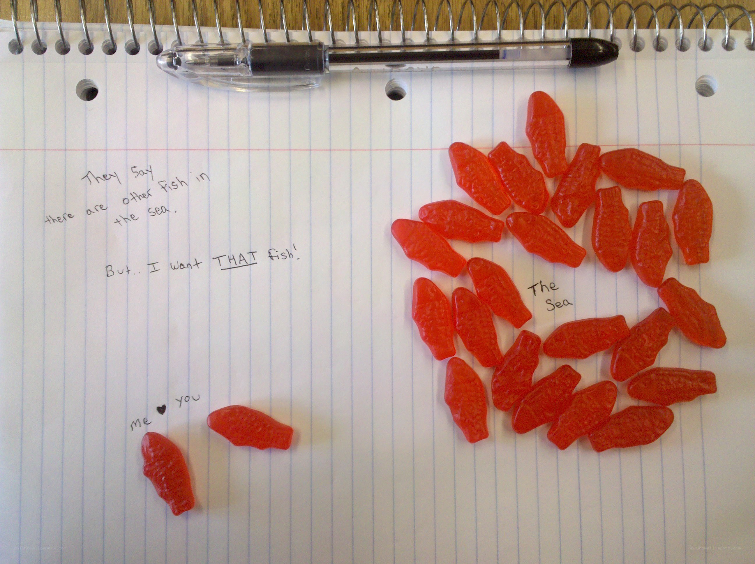 gummy fish on notebook