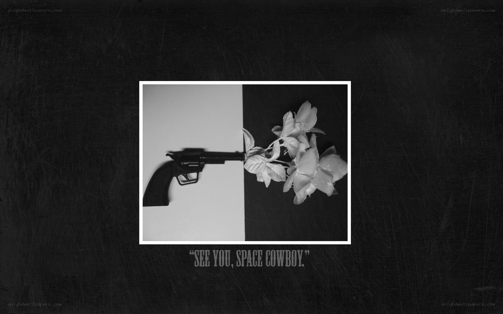 gun and flowers image