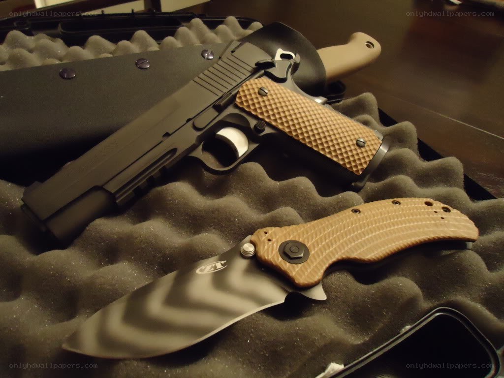 gun and knife in case