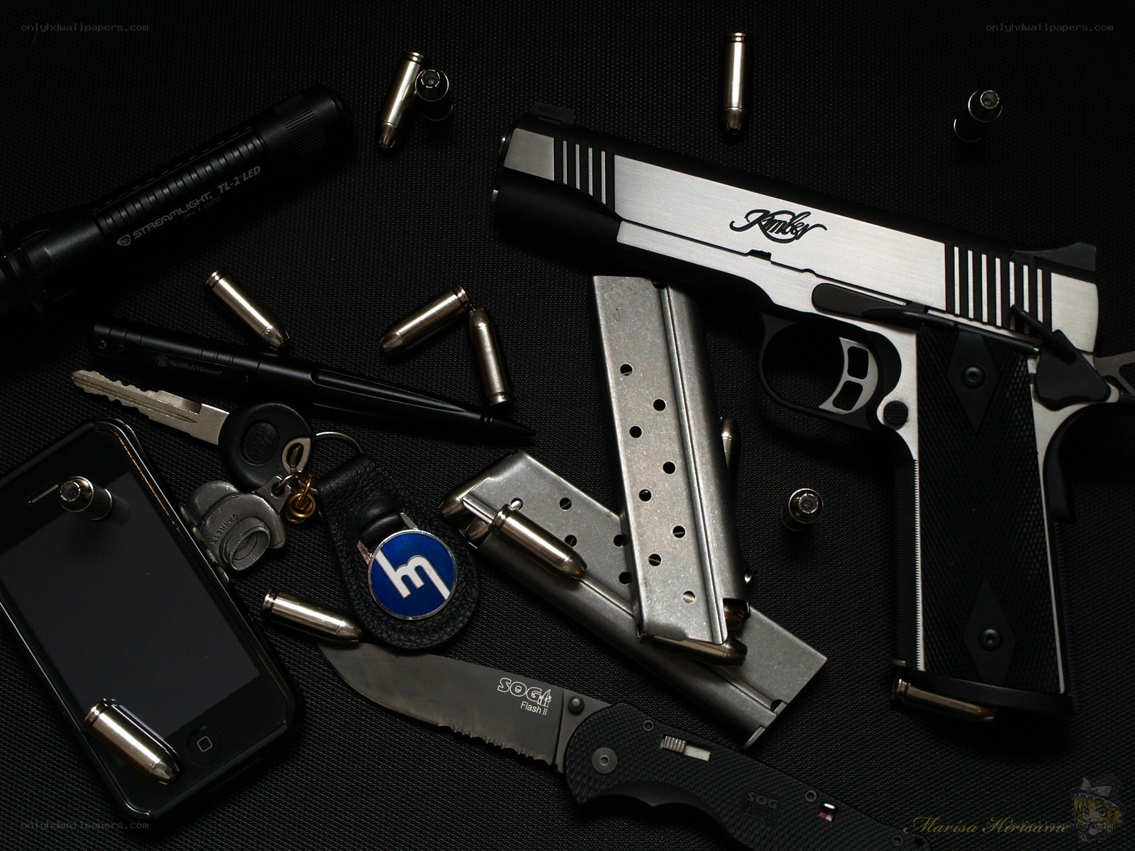 Gun and tactical gear collection