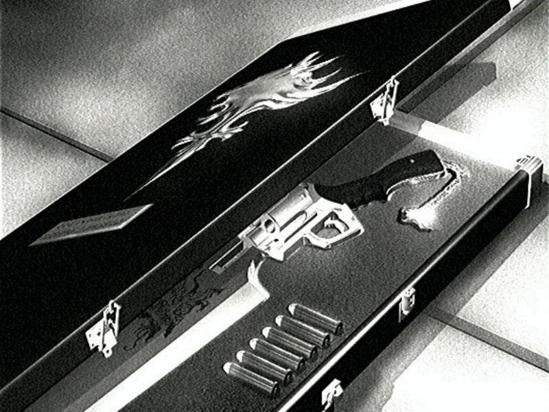 gun in a display case