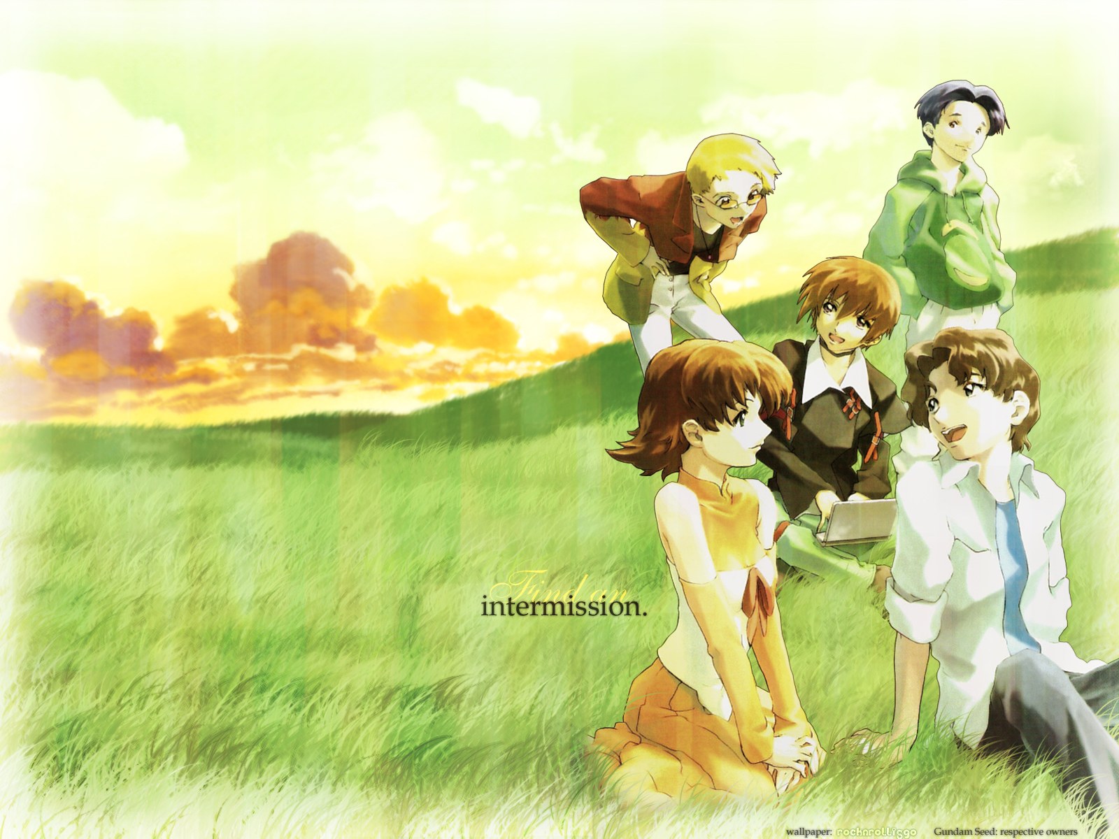 Gundam Seed characters in field