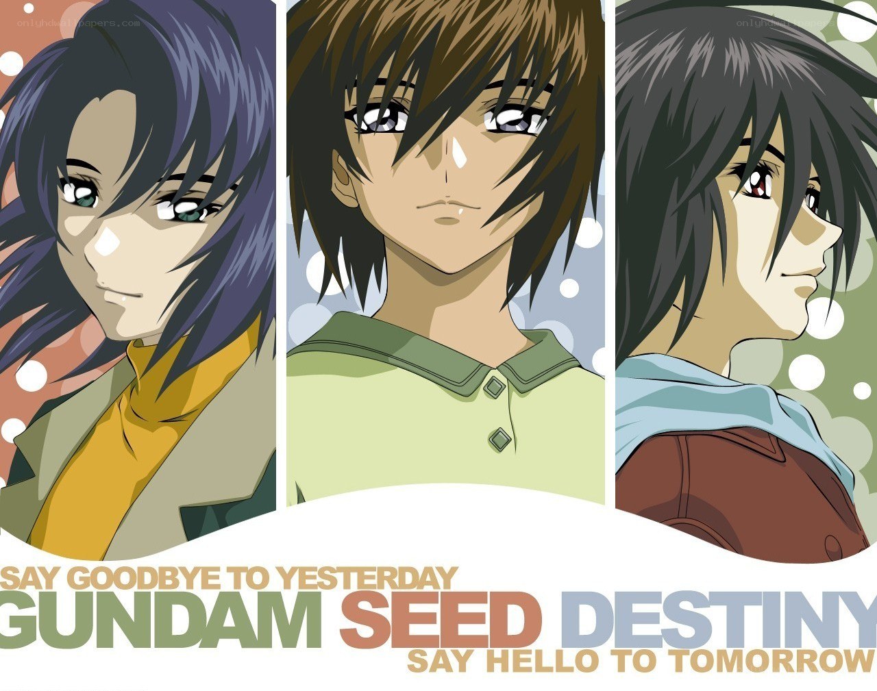 Gundam SEED Destiny characters