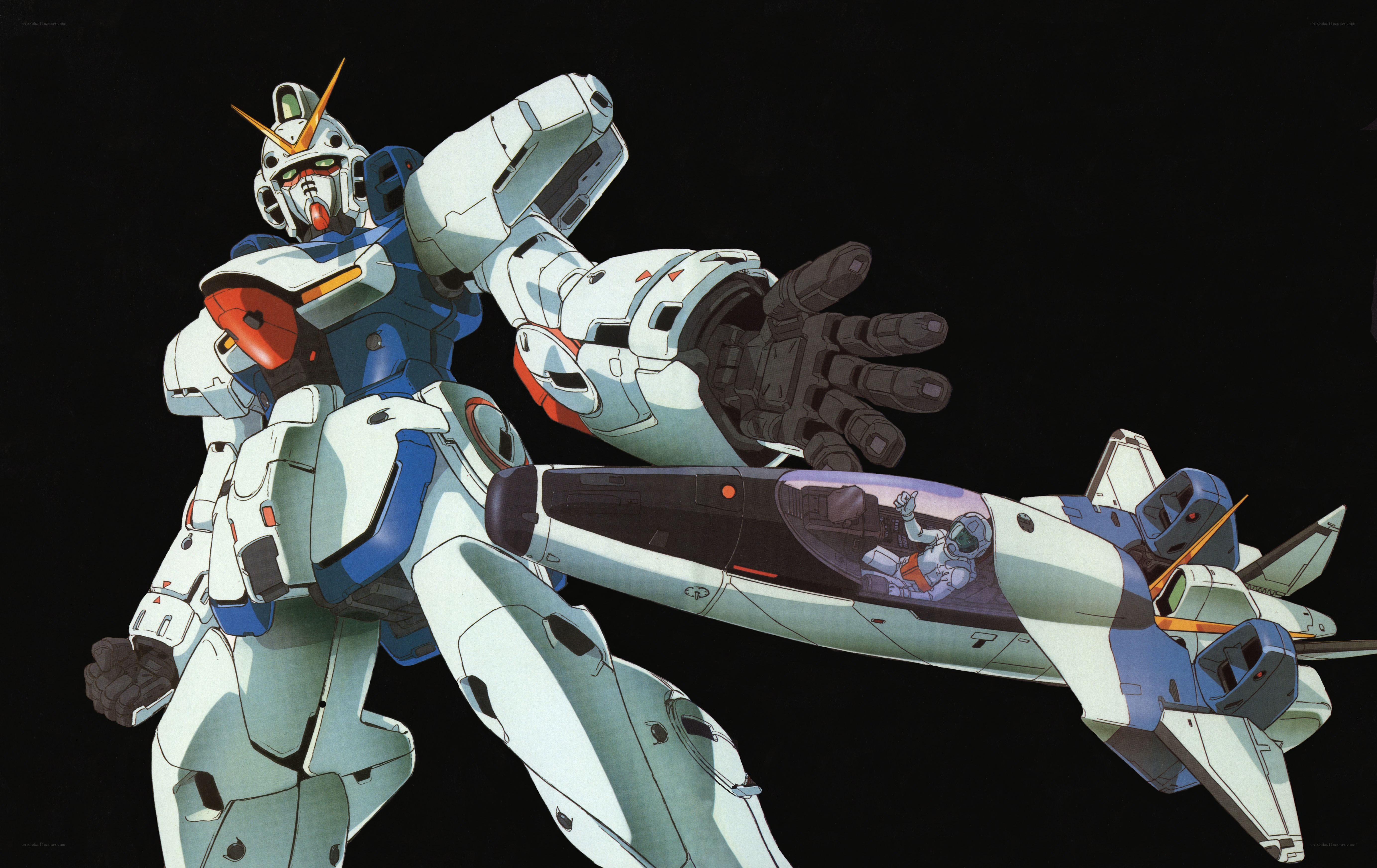 Gundam with mobile suit