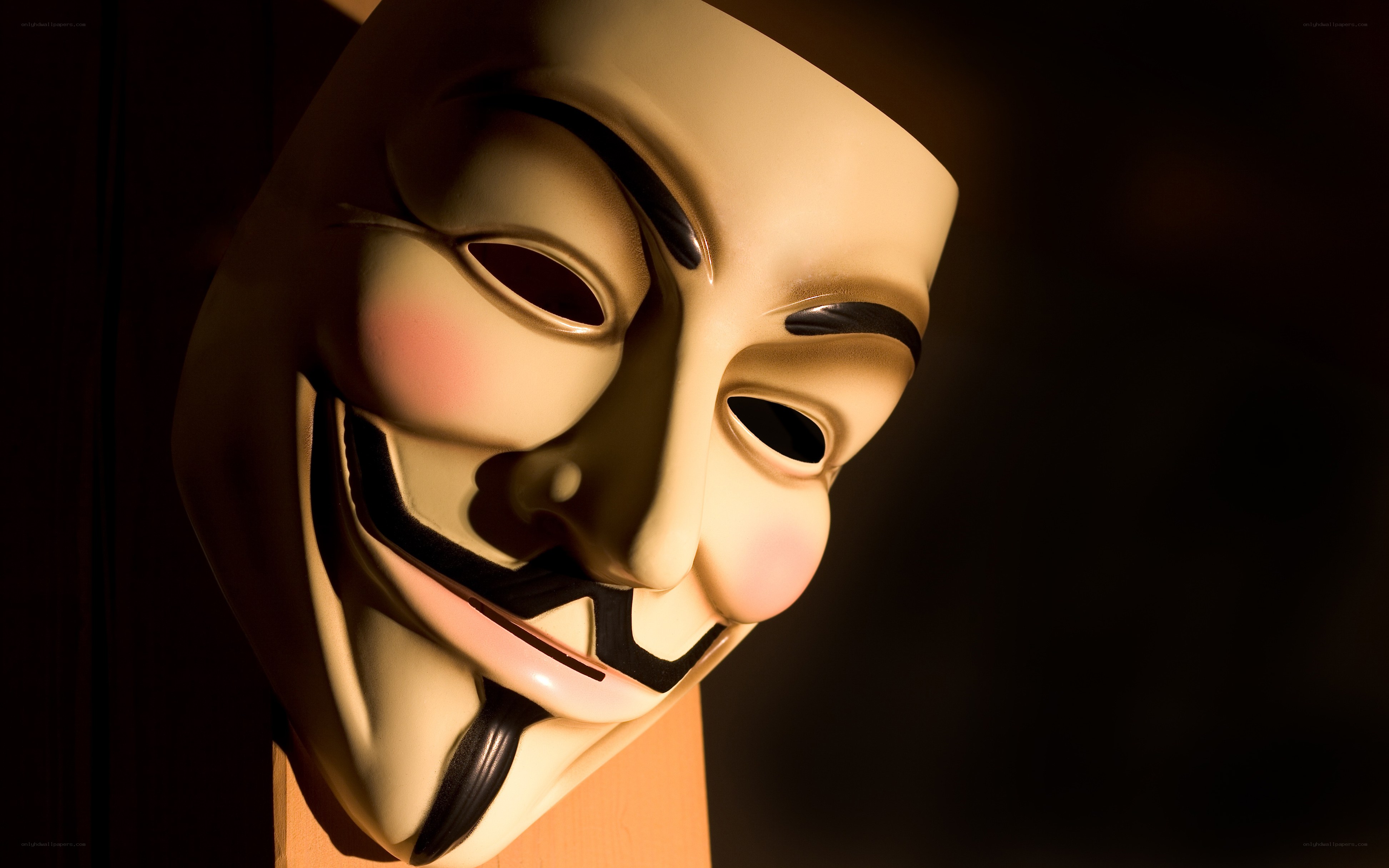Guy Fawkes mask in spotlight