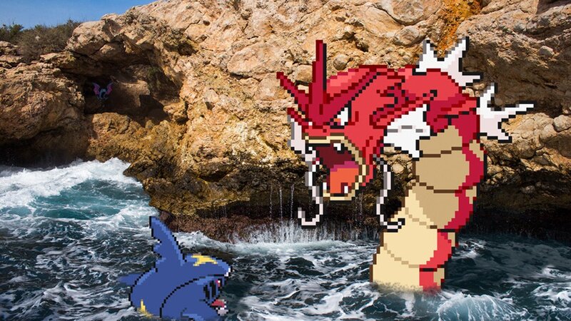 Gyarados and Kingdra in the sea
