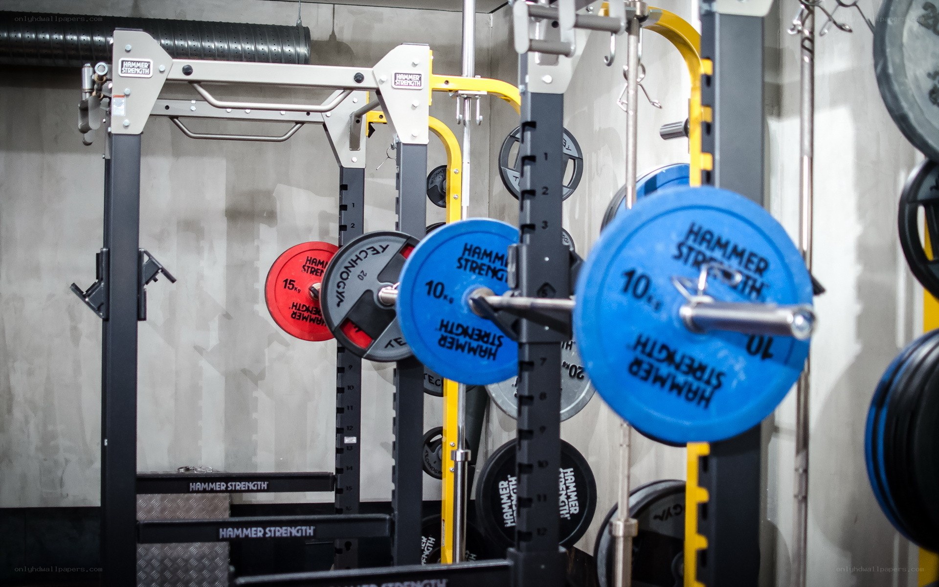 gym weightlifting equipment