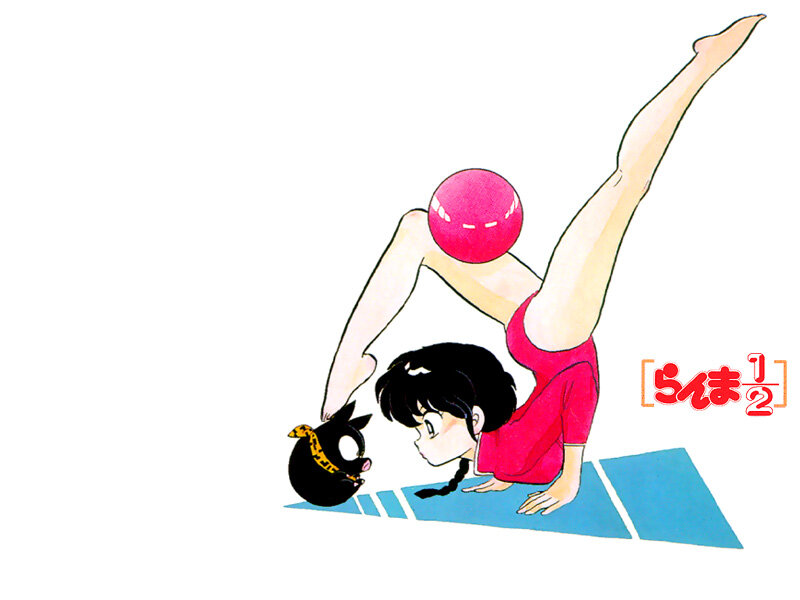 gymnastics with a cat