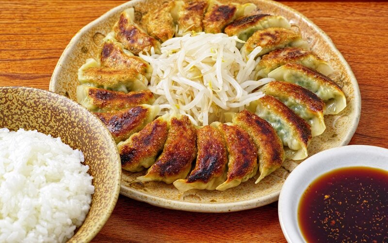 Gyoza with rice and sauce