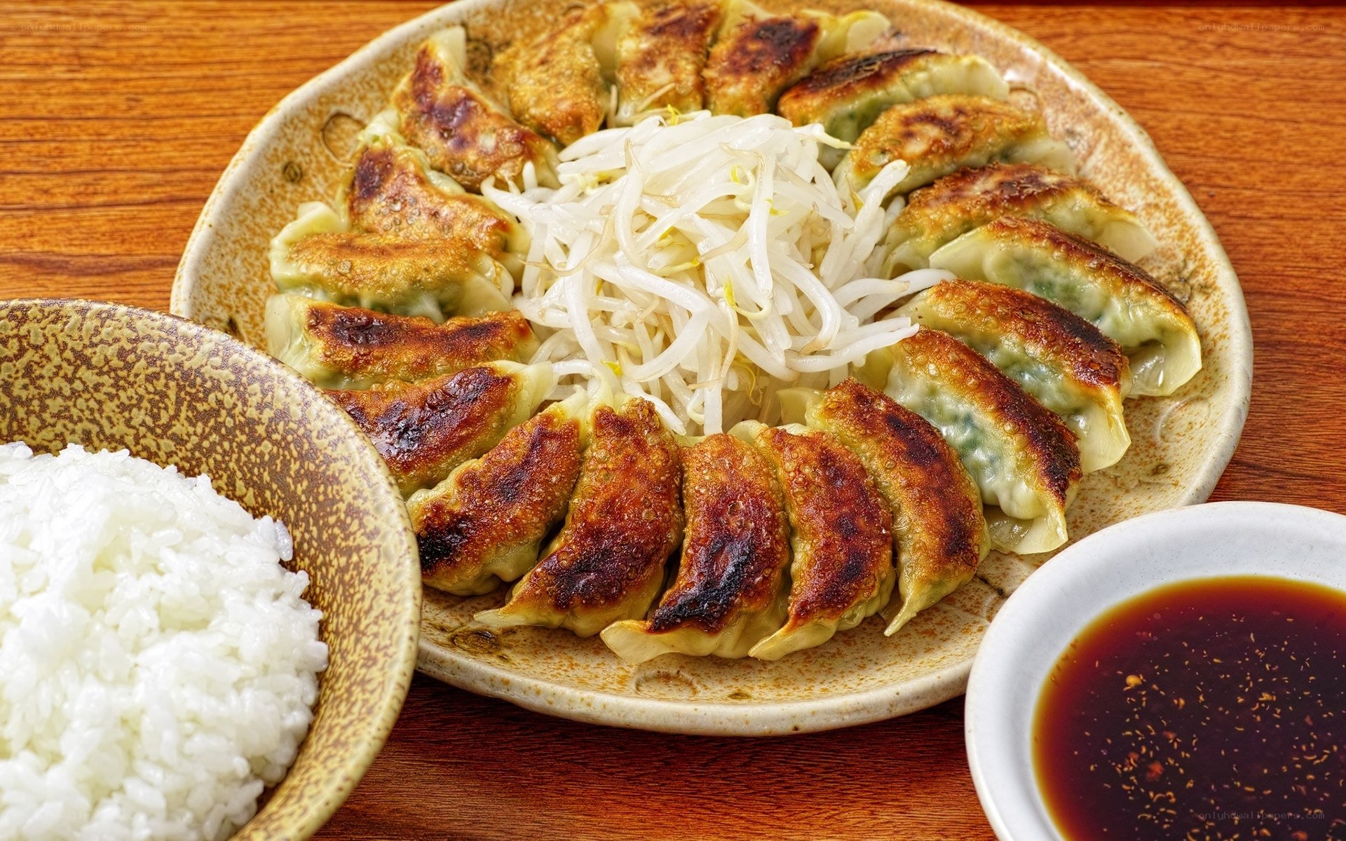 Gyoza with rice and sauce