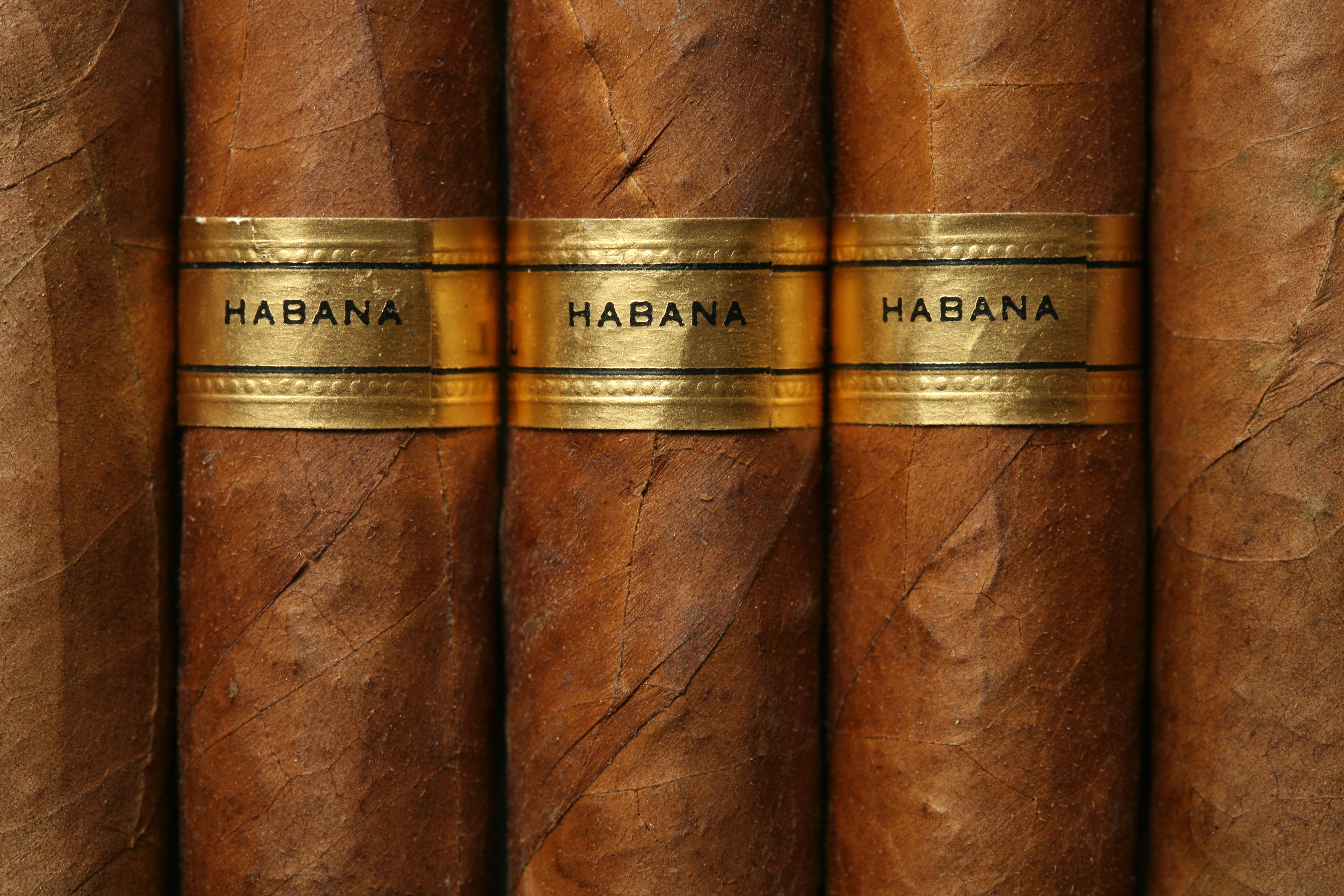 Habana cigars in a row