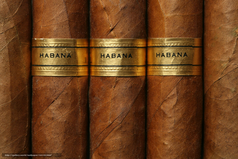 Habanos cigars close-up