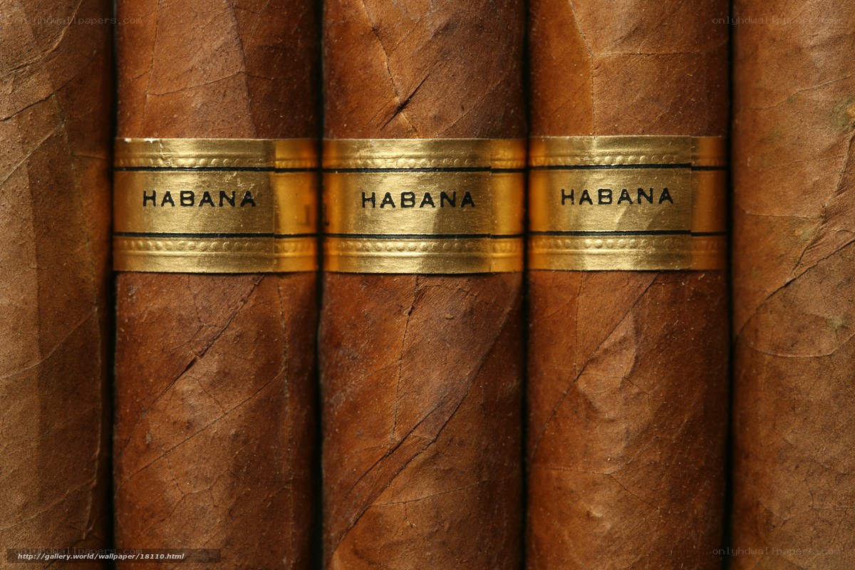 Habanos cigars close-up