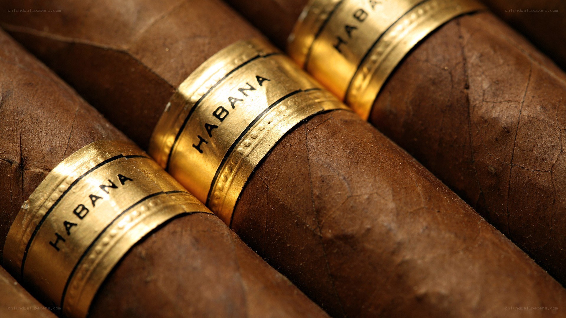 Habanos cigars in a box