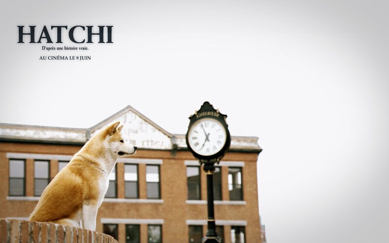 Hachi movie poster