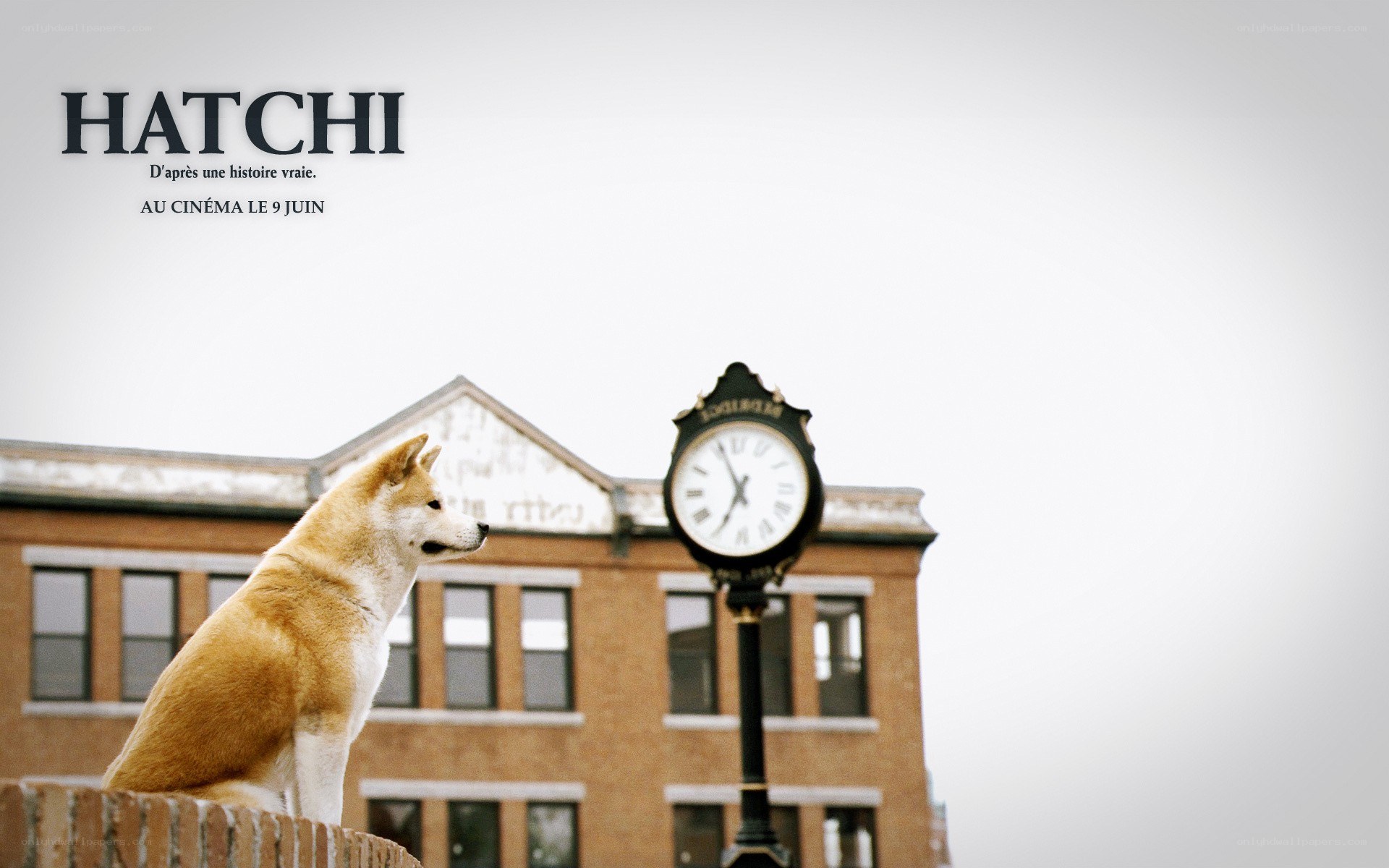 Hachi movie poster