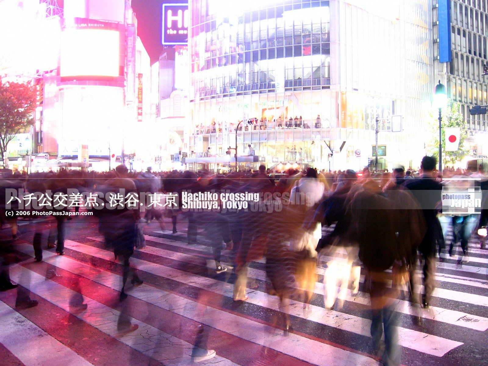 Hachiko Crossing at Night